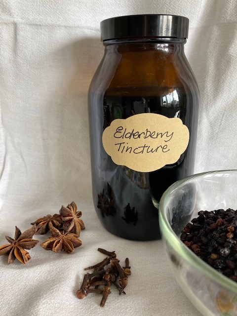 Wild Craft of the Month - Elderberry Tincture