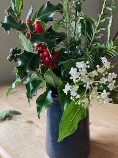 Wildcraft of the Month - Preparing for Winter Solstice